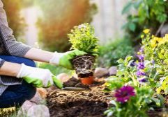 Gardening-Flowers